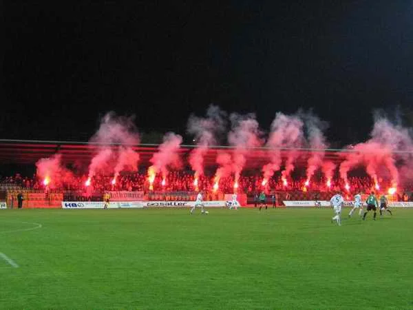 Zdjęcie z galerii